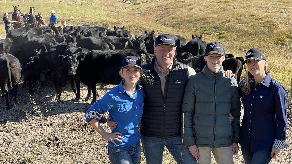HERD BUILDING: The Soames family - Ginger, Keith, Oscar and Lisa - run a high quality 400-cow Angus herd at Warrington Station near Dungog, and they're looking to increase numbers.