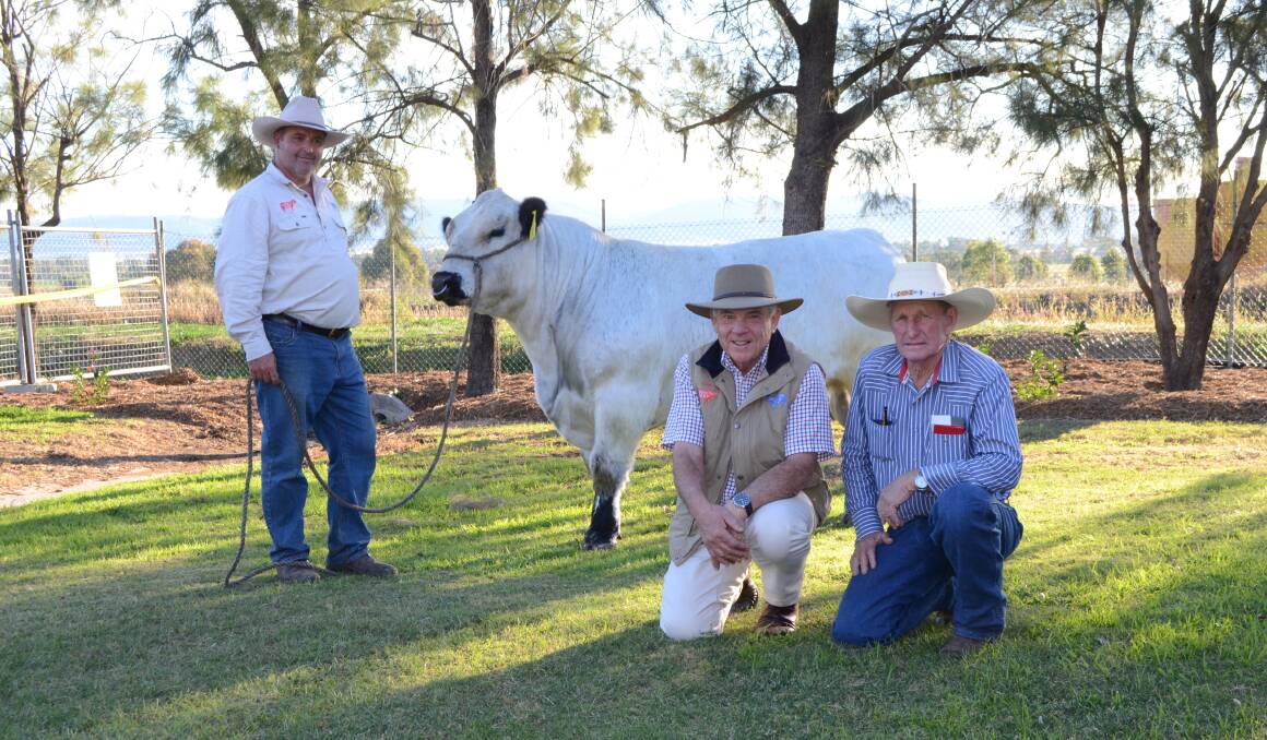 TOP BULL: Paul Hourn and John Ellis, Hanging Rock Speckle Parks, and buyer Bryan Wormwell, who bought the $20,500 bull for PW9 Simbrah stud, Tara, Queensland, at last year's sale.