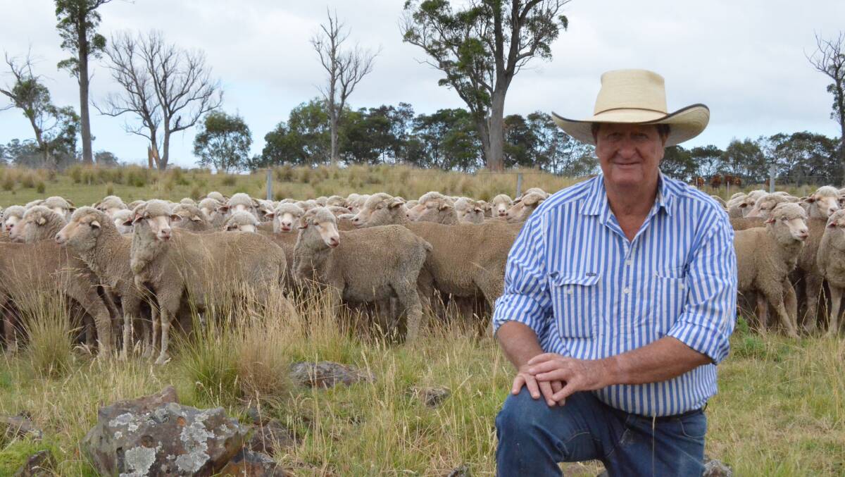 ACHIEVING PREMIUMS: Roy Robertson plans to increase Merino numbers following increased demand for wool.