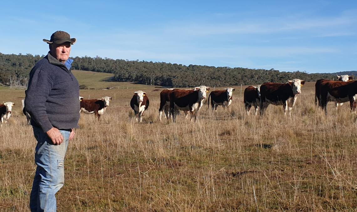LONG-TIME WHITEFACE BREEDER: Gordon Moon with his Hereford breeders at Wulgulmerang.