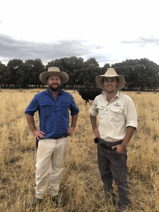 MAXIMISING FEED: Todd and John Cranney. Time controlled grazing and pasture management has made the family operation more efficient.