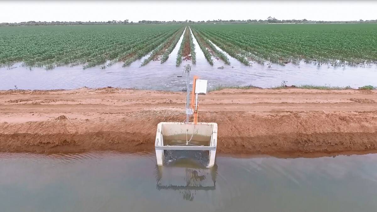Padman Stops can help cotton growers maximise their water efficiency and overall profits.