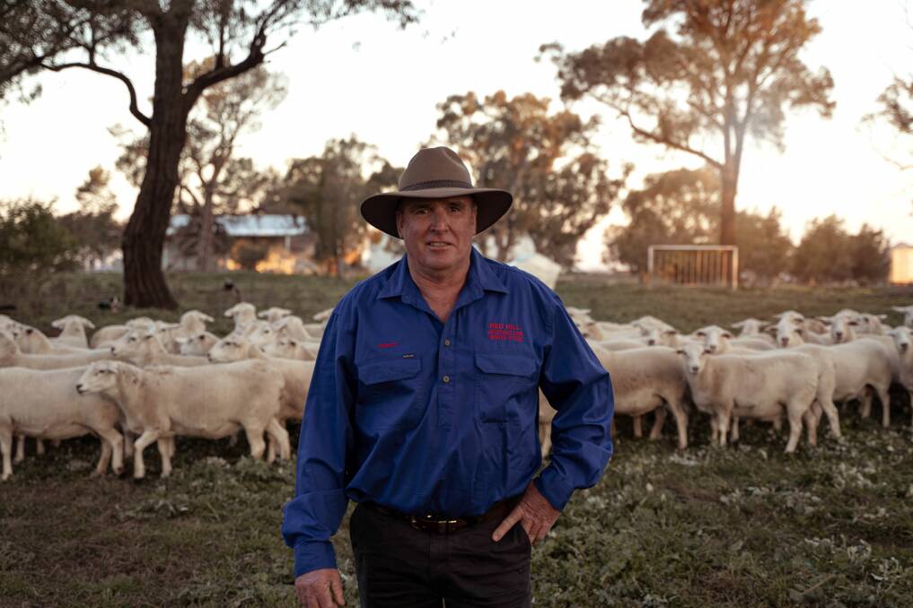AN EFFICIENT, FERTILE FLOCK: Red Hill Australian White stud principal Robert Endacott with his Aussie White ewes.
