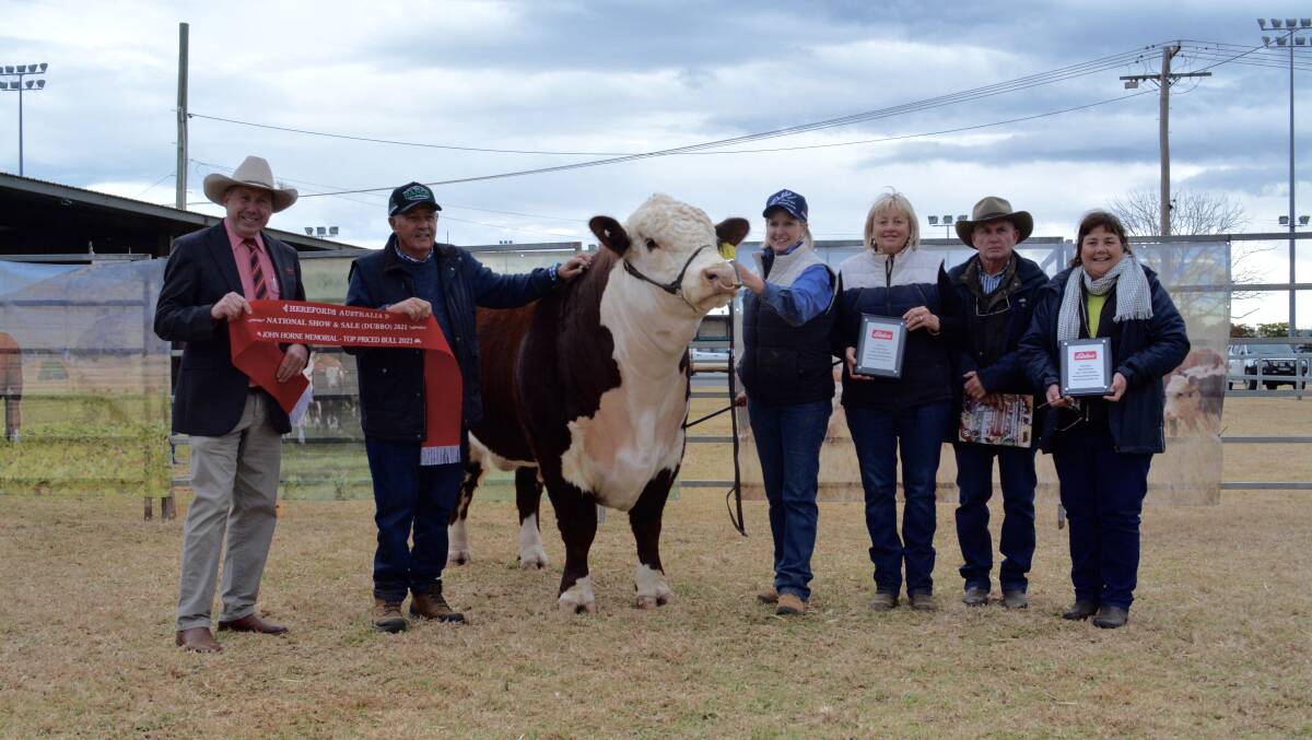 2021 SALE TOPPER: The $27,000 bull with Paul Jameson of Elders, vendors Greg, Emma and Del Rees, The Ranch stud, and buyers Steve and Therese Crowley, Tycolah stud.