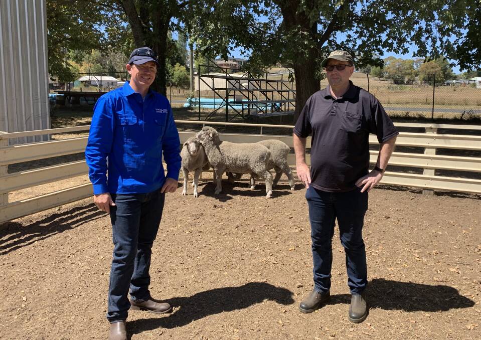 PROFITABLE SHEEP: Will McClenaghan, pictured with Josh Frazer, Tableland Dohne stud, has been breeding Dohnes for more than 15 years. 