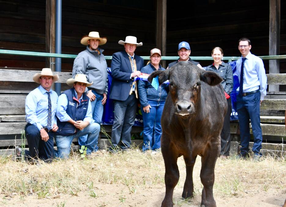 RECORD SETTING STEER: Shad Bailey and Nathan Purvis, Tim Eastwell, Jon Gaffney, Casey and Nigel Wieck, Vicky Cameron and Jason Duffell with last year's sale topper.
