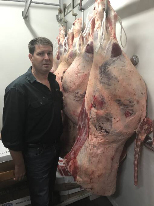 CARCASE YIELD: Butcher Robert Constable with Speckle Park bodies. 