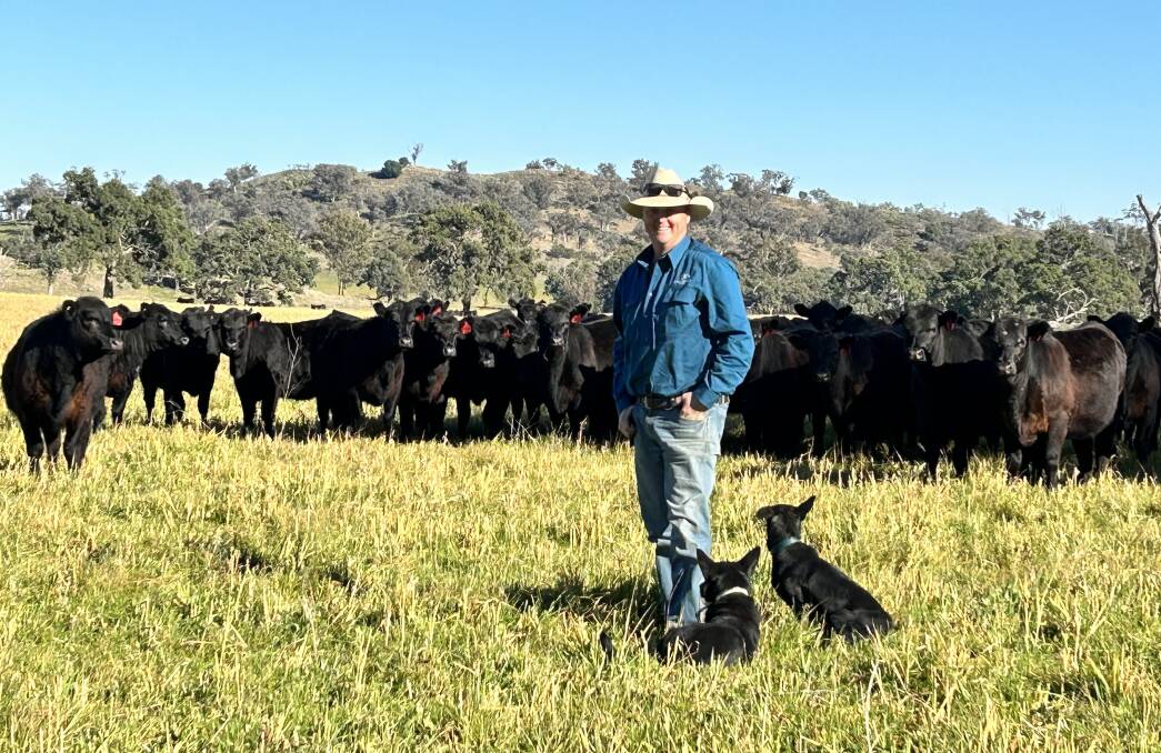 Pete Stevenson, pictured with his dogs Tank and Scout, at Middlebrook Park, where he manages large Angus and Wagyu herds.