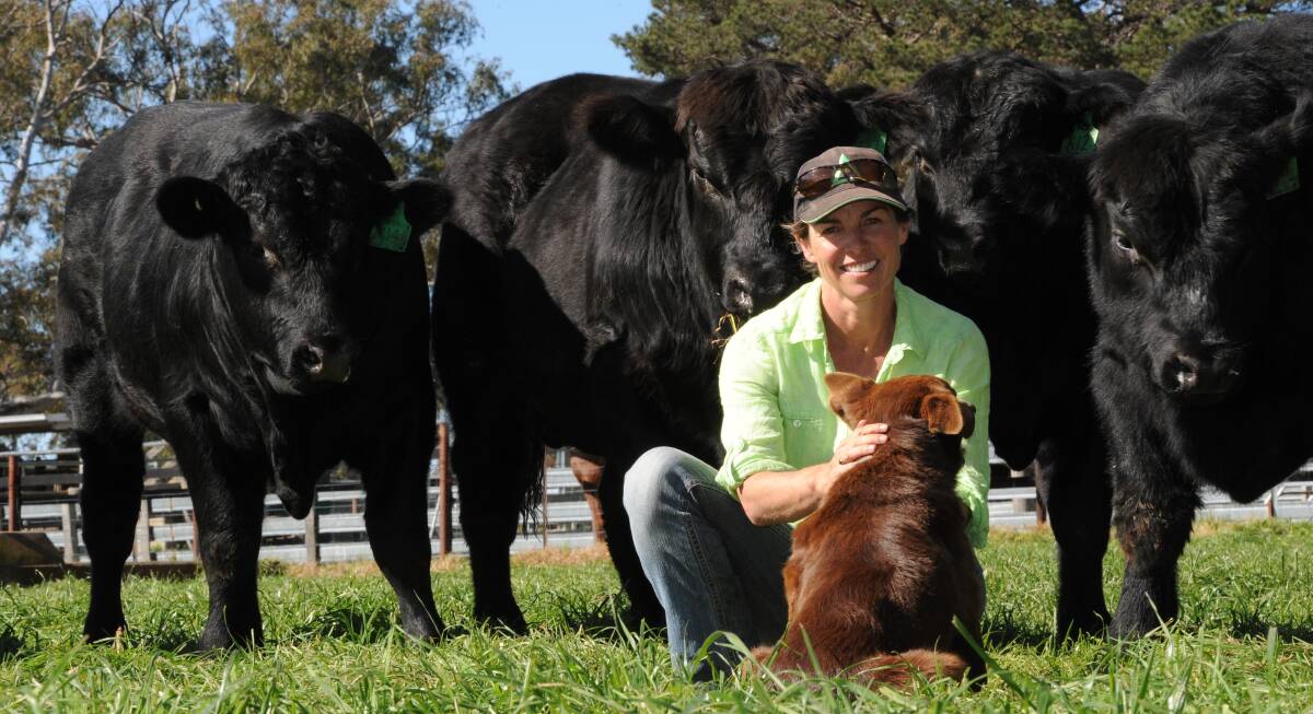 COMPLETE MARKETING PROGRAM: Ben Nevis Angus stud principal Erica Halliday has changed the way she markets her bulls since holding an annual sale.