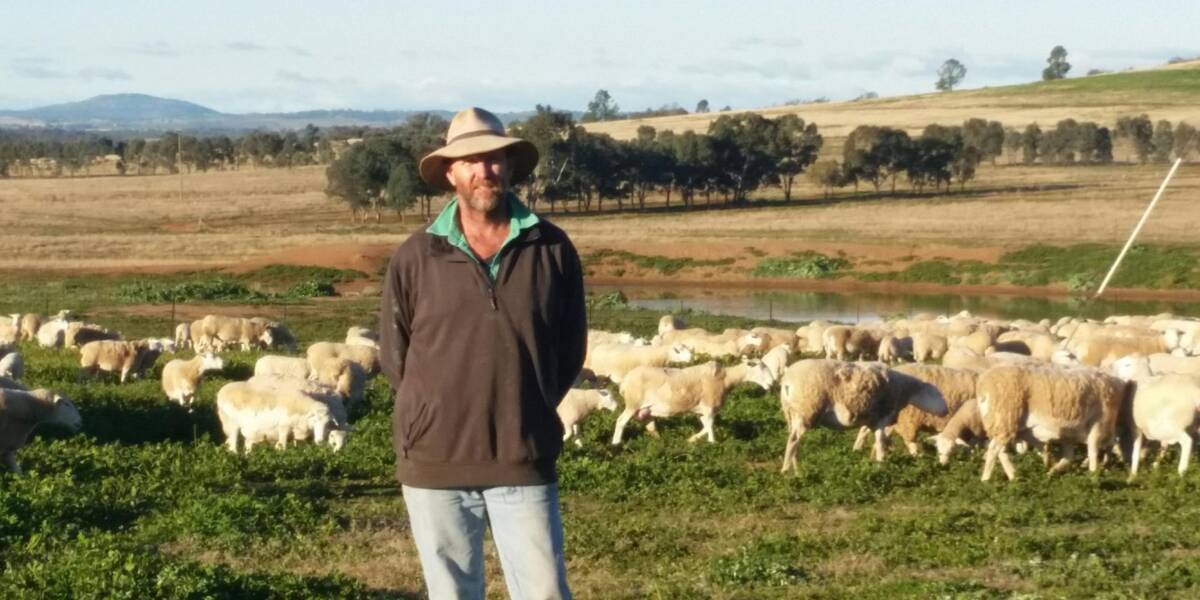LOW MAINTENANCE PRODUCTION: Wellington lamb producer Evan Frankham produces Australian White sheep. 