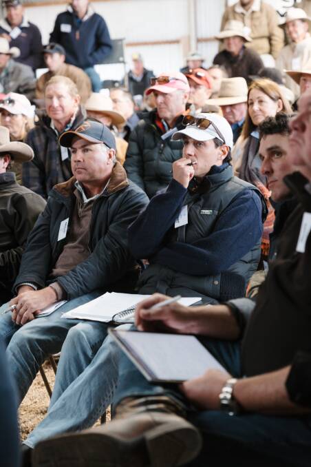 Beef producers Mitch Crawford and James Knight. Picture supplied, Anna Kemph Photography