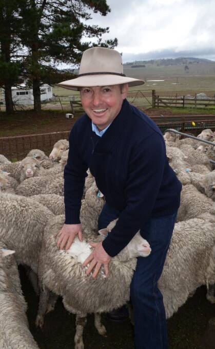IMPROVED GENETIC DIVERSITY: Martin Oppenheimer is using ram lambs in his commercial Poll Merino flock at Petali, Walcha.
