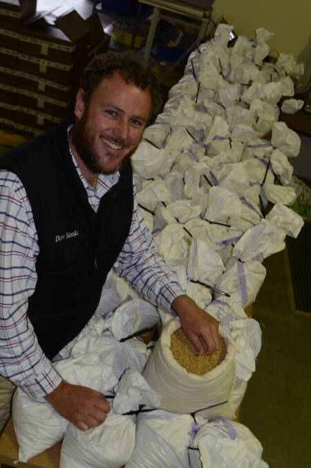 Wheat breeder Nick Willey with DS Faraday wheat, which will be available for the 2018 season.