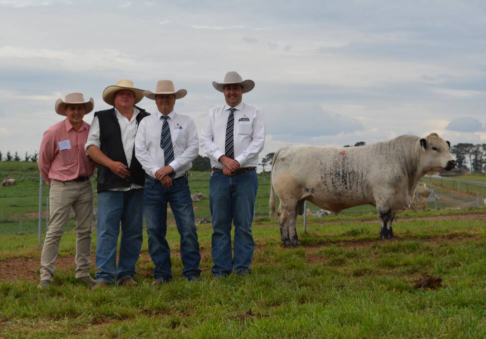 Lincoln McKinlay, Elders stud stock, Dale Humphries, Wattle Grove, Oberon, and Michael Glasser and James Brown, both of Glasser Total Sales Management, with the $68,000 Wattle Grove Paperboy.