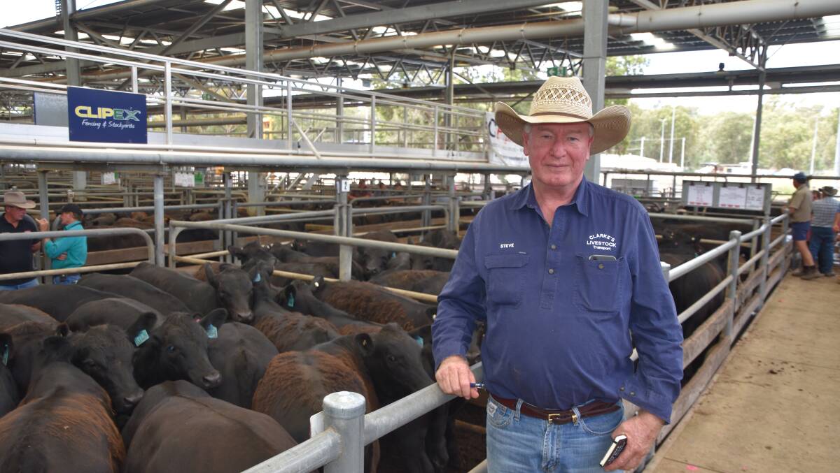 SALE TOPPERS: Steve Clarke, Deepdale Seaton Park, Tallarook, sold 100 steers at Wangaratta and topped the market with a pen of 18 459kg steers making $2250 a head.