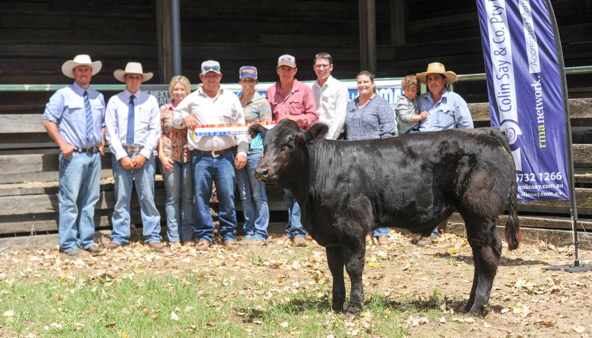 2021 GRAND CHAMPION: Last year's best steer with Colin Say and Co agent Shad Bailey, judge Anthony O'Dwyer, vendors Courtney and Tyson Will, buyers Emily Kahler and Luke Cox, Findex representatives Jason Duffell and Nikki Smith and Colin Say and Co agent Nathan Purvis with son Oscar. 
