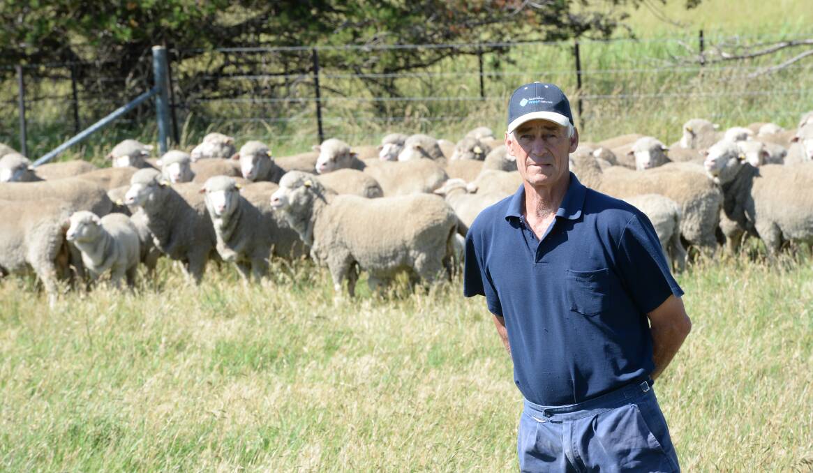Allan Ball, "Harnham Grove", Uralla, has been using Westvale rams in his commercial flock for about 40 years.