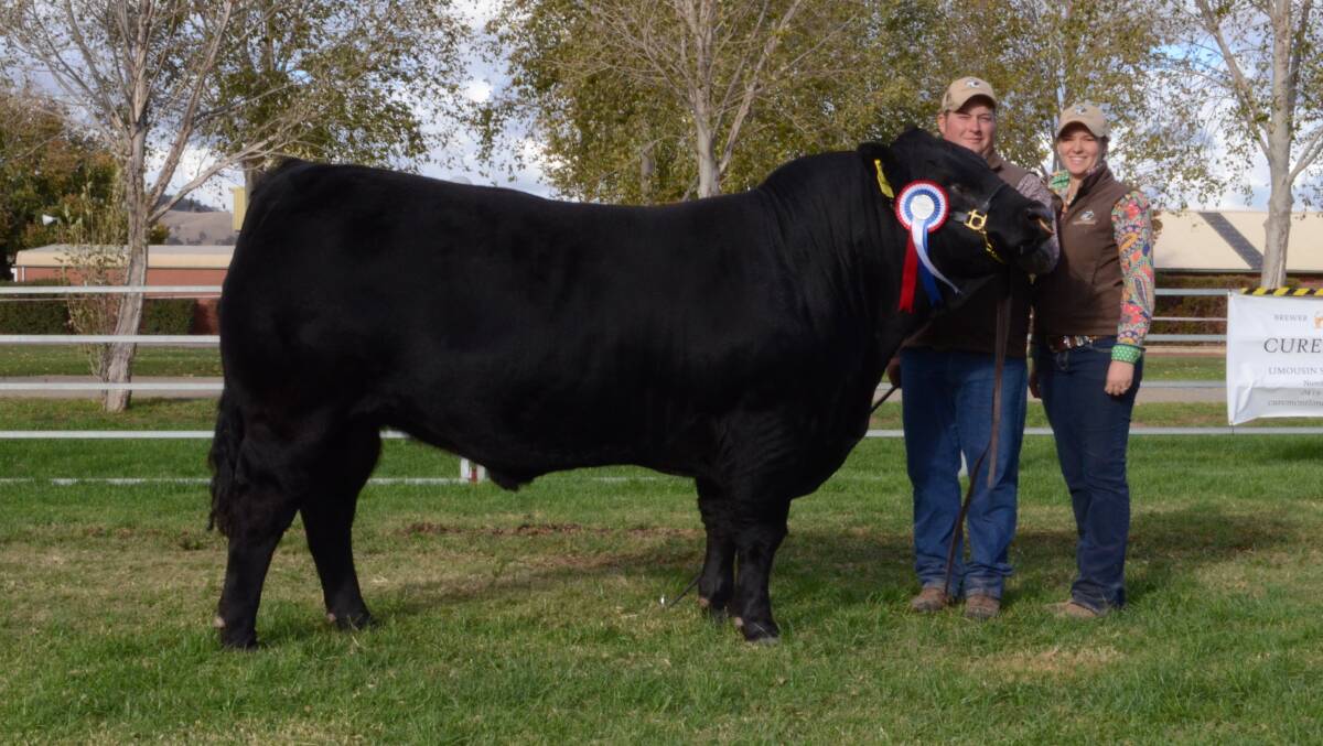2018 TOP: Hayden Green and Jasmine Nixon, Summit Livestock, with the sale topping bull.