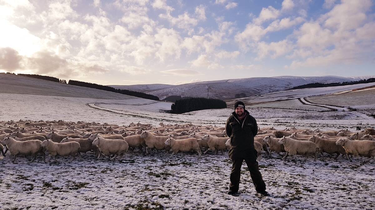 Jamie Heinrich on a sheep farm in the Scottish Borders. 