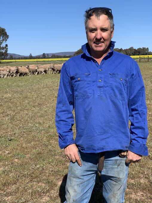 INCREASING MERINO NUMBERS: David Kingston with his Merino sheep. The Kingston family runs about Merino 5000 ewes, and plan to join 3000 to Merino rams. 