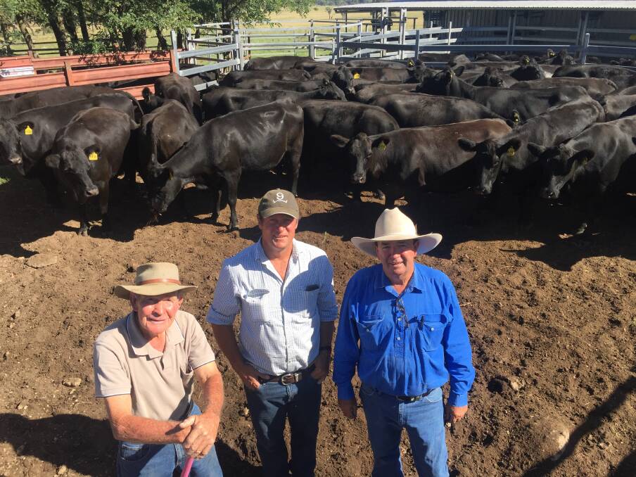 SELECTING FOR GROWTH, TEMPERAMENT: Mike Benn, right, Berrington Cattle Company, Deepwater, with right-hand man Glenn Smith and Richard Post, Glenavon Angus, Guyra.