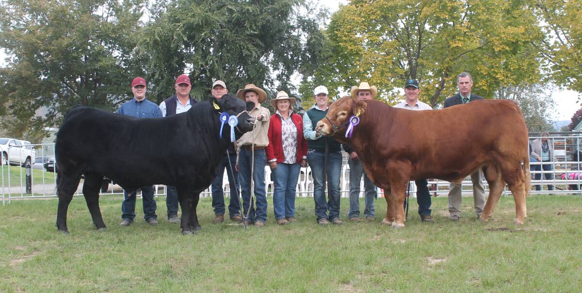 Karen and Garry Hedger, Garren Park Genetics, Culcairn, purchased the top two bulls at last year's sale, paying $28,000 for Flemington Longyard L36 and $25,000 for Ruby Park Lieutenant. Pictured, left to right, are Brendan Lydford, Jeremy Welsh, Garry Hedger, Cooper Carter, Karen Hedger, Donna Robson, Dean McGuire, Ian Robson and Peter Godbolt.