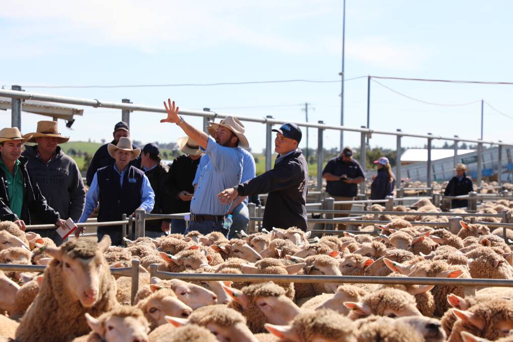 ONLINE SELLING: The Central West Livestock Exchange will benefit from increased exposure of the region's livestock through the Stocklive online platform.