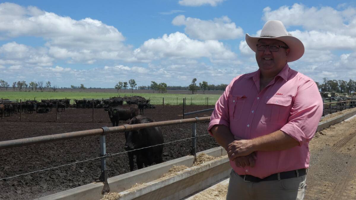 EXCEPTIONAL MARKET: Elders Wagyu consultant James Matts says demand for Wagyu genetics is strong from domestic and export breeders. 