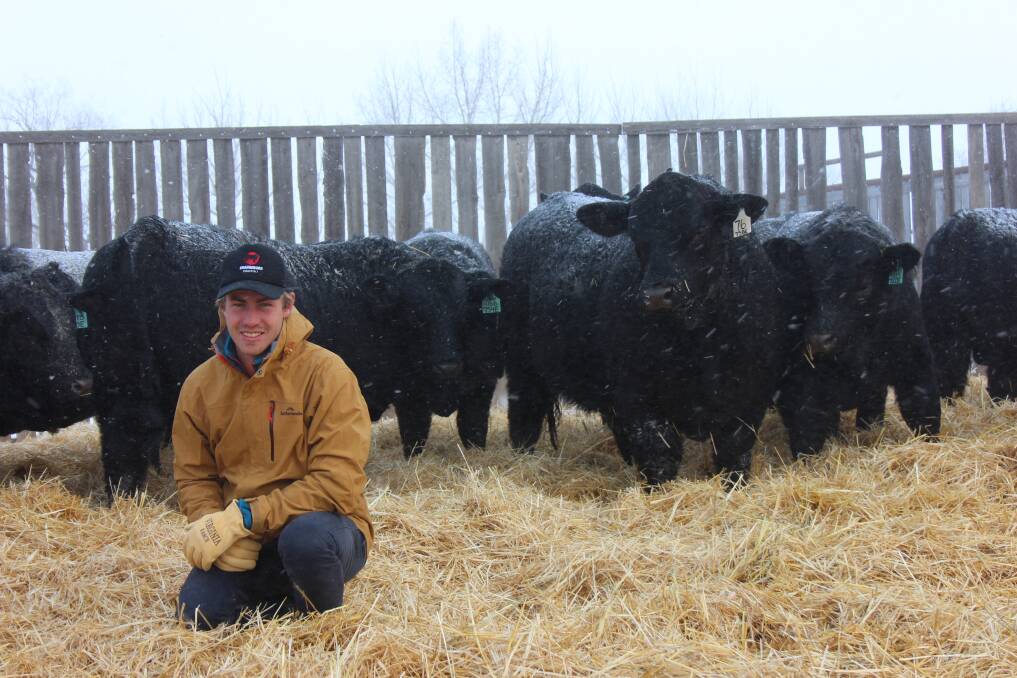 Brodhi Carracher has a Simmental stud and will soon start his veterinary career.