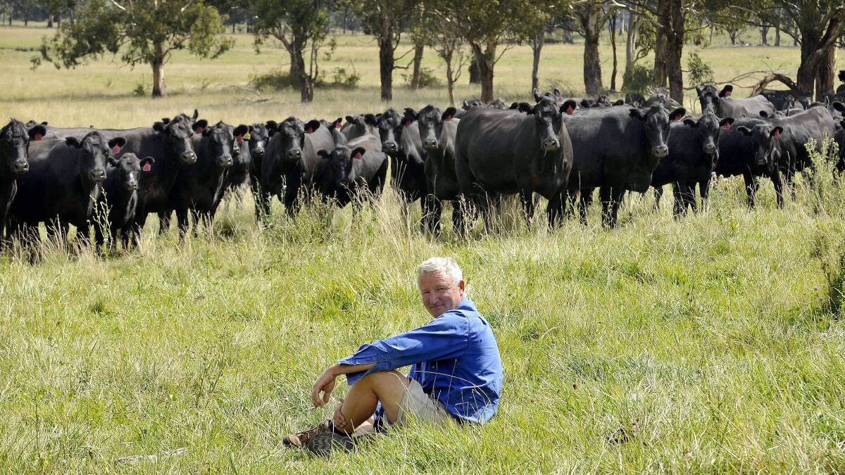 Kilburnie Cattle Company owner Tony Clift with some of his Angus cows at "Aberbaldie", Walcha. Photo by Paul Mathews