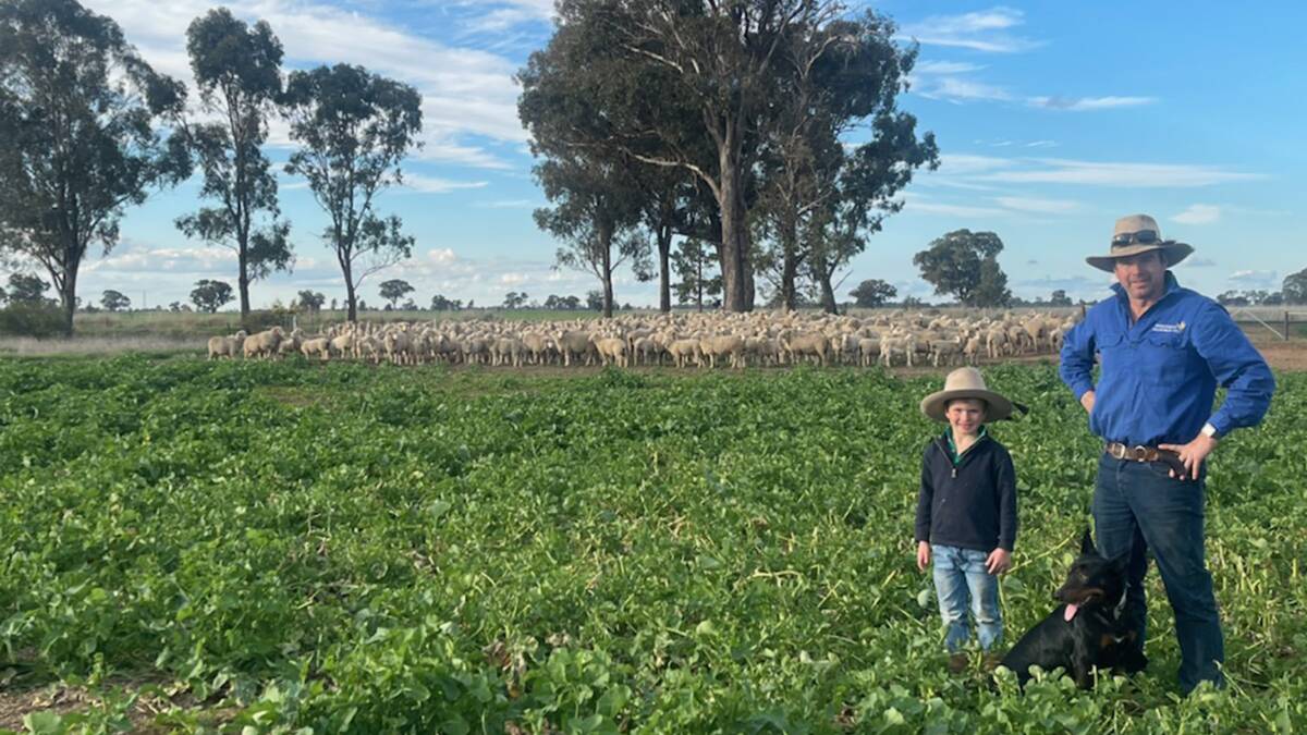 SECOND-CROSS PRODUCTION: Tim and Tom Craig, with Kelpie Tom, and their White Suffolk-sired flock, qhich includes 380 Caroonboon blood 2019-drop Merino ewes and 120 first-cross ewes, joined to Almondvale rams. 