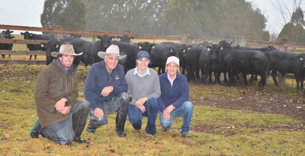 BEEF SHOWCASE: Harry, Bill, Harry and Jennifer Maxwell, Maxwellton Angus, pictured at the open day at Hernani on day seven of last year's Northern Beef Week.
