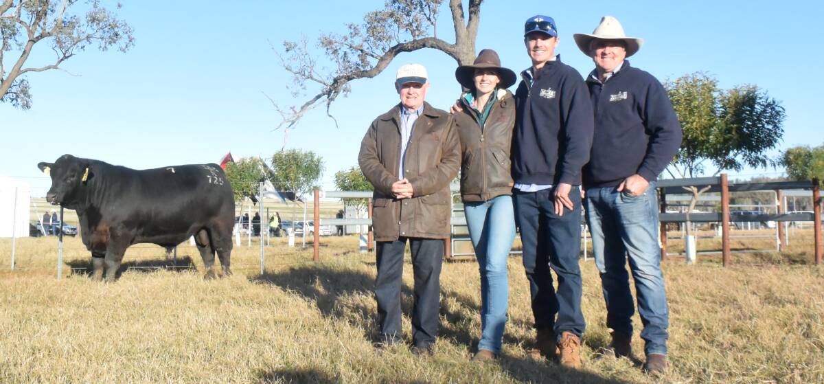 INVESTING IN THE BUSINESS: Three generations of MacKenzies - Bruce, Jack and Robert with Jack's partner Alexandra Lynch - and their $225,000 record busting Angus sire Texas Iceman R725, who was purchased last year.