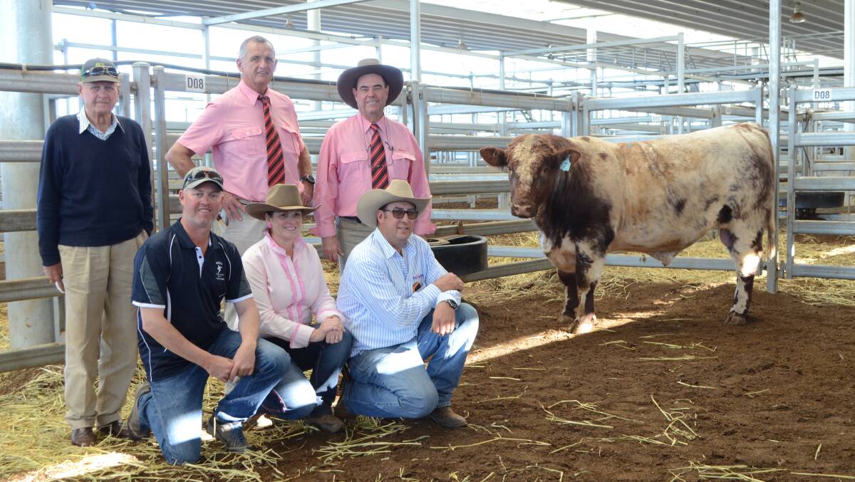 Buyers Stuart and Angus Faulks, "Arranmore", Manilla, agents Andy McGeoch and Brian Kennedy, Elders, and Nagol Park stud principals Roger and Naomi Evans with the $18,000 bull.