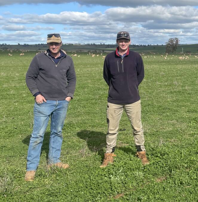 FAMILY OPERATION: Brothers Andrew and Gregory Lord at Homeview, Junee.