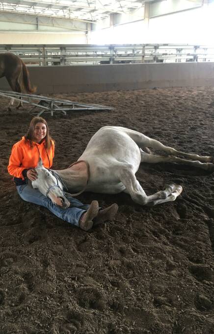 Student Shaley Olive with Tocal Quick Silver, by Boree Below Zero. All sale horses have had a great foundation, with drywork, the mechanical cow and tracking. 