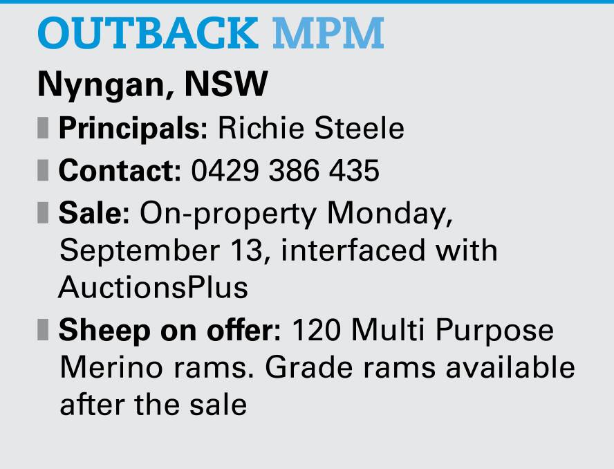 Strong lambing rates with MPM sires