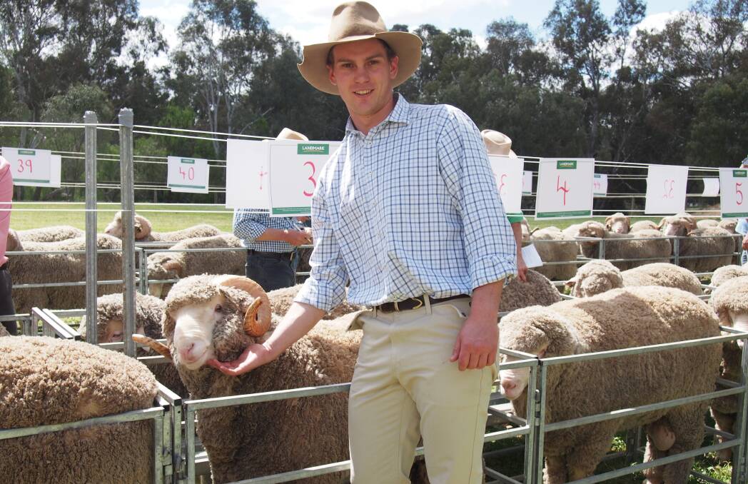 FIELD DAY DEBUT: Ian Cameron has returned to The Yanko Merino stud after completing university. He and his mother Heather will be exhibiting rams at the field day.