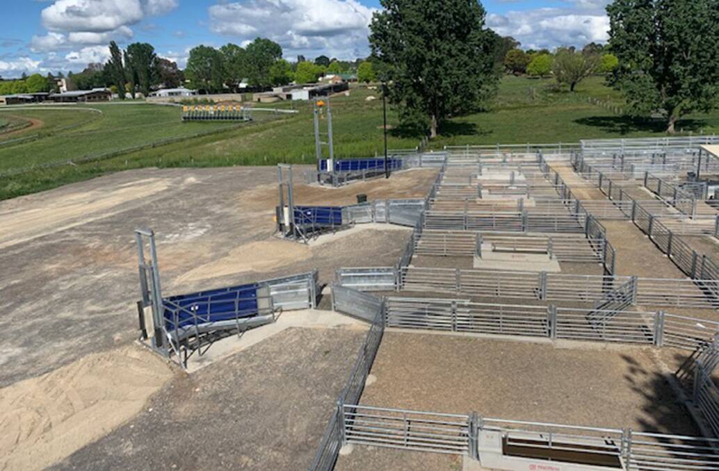 UPGRADE: The Glen Innes saleyards will be officially opened on December 8. 