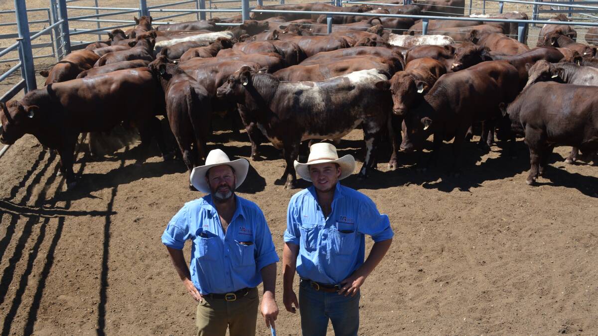 TOUR HOSTS: Delegates will visit Yamburgan Shorthorns near Narrabri as part of the tour. Pictured are John and Nick Manchee. 