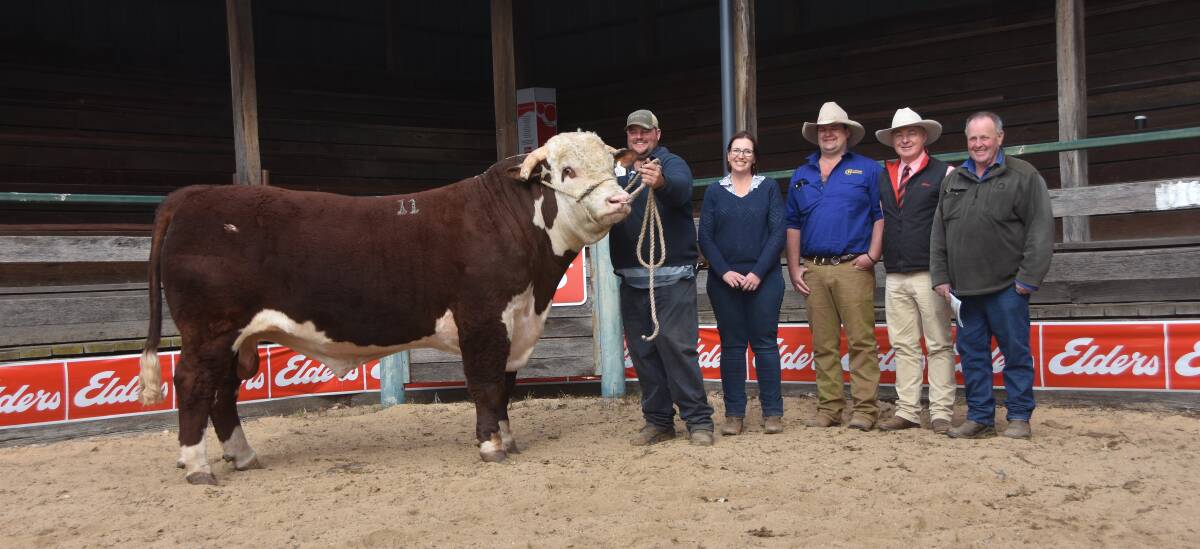 Last year's sale topper, $14,000 Hereford Supple Naked with Supple stud principals Ben and Leanne Rumbel; Ashley Estcourt, Nunniong Herefords, Omeo, Victoria; Elders agent Andrew Meara and new owner Bluey Commins, Ensay, Victoria.