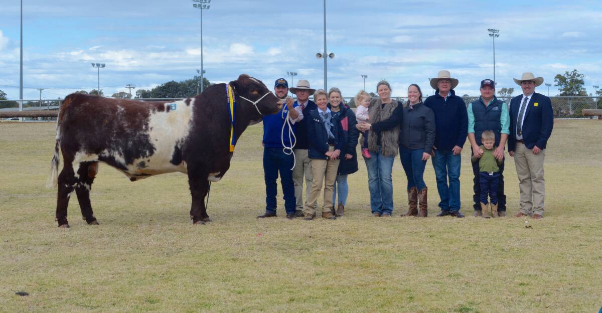 TOP-PRICED 2021 BULL: The $40,000 bull with vendors, the Williams family; buyers, the Falls family; and agent James Brown, Ray White GTSM. 