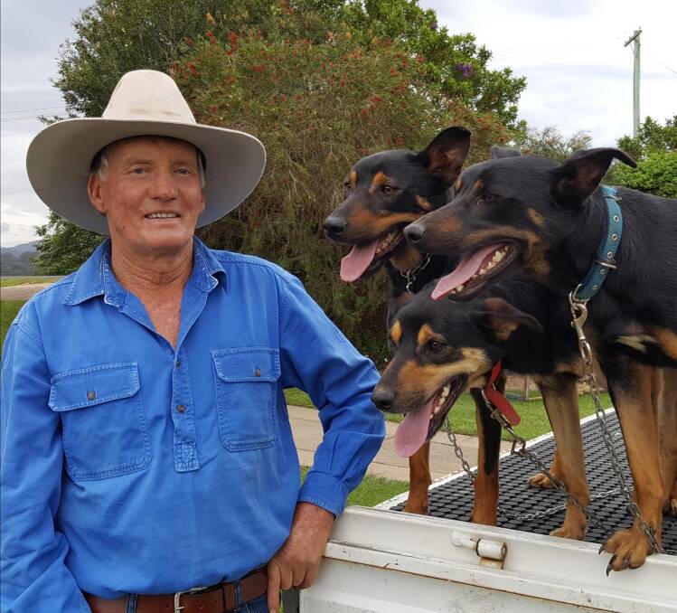 GOOD WORKERS: Macksville working dog breeder and trainer, Ross Fletcher, with his sale dogs Cracker, Dodger and Surf. 