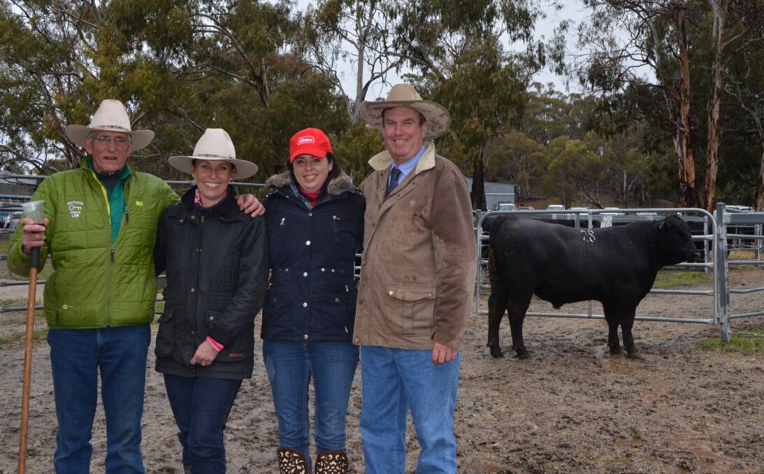 Wattletop Angus stud principal Lock Rogers, buyer Alison Laurie, Knowla Livestock, Gloucester, Bec Hall, Elders Walcha, and auctioneer Paul Dooley with the $16,000 bull, purchased in a syndicate with Booragul Angus, Piallaway.