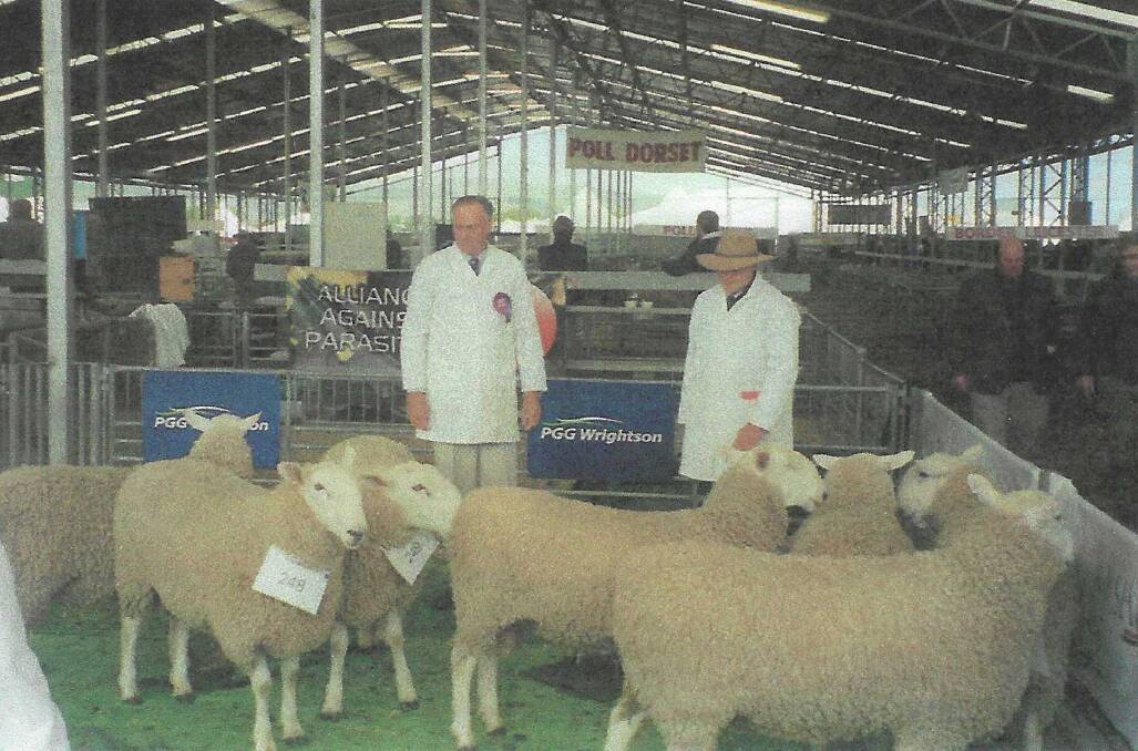 BREED REPRESENTATION: Barry Harper judging Border Leicester sheep in New Zealand in 2006.