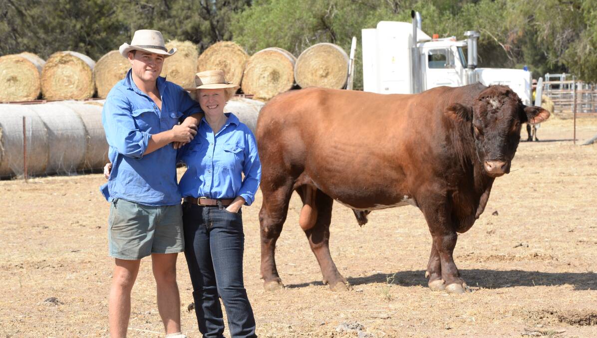Susan Tym and her son Charles with one of their Moonbi Shorthorn bulls at "Myalla" Gulargambone.