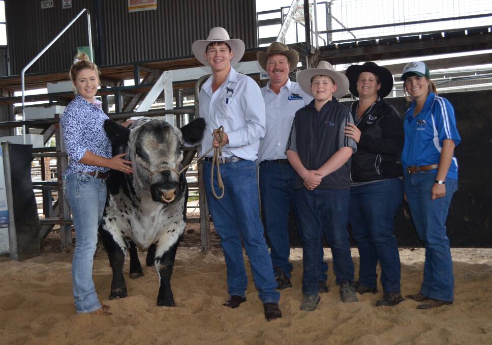 Kim Harriden, Dingo Creek Speckle Parks, Marlee, and buyers Murray, Andrew, Blake and Melissa Van der Drift, and Sarah Hunt, Black Diamond Speckle Parks, Macorna, Victoria, with Dingo Creek Knockout K08 who sold for $21,000.