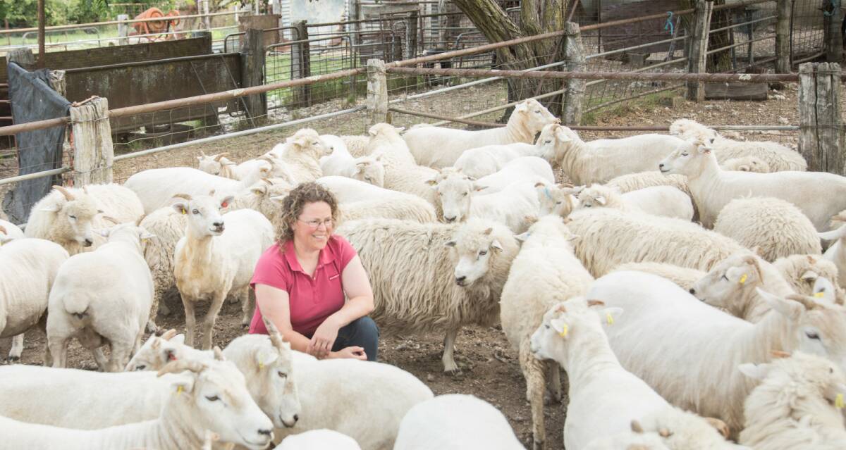 RARE BREEDS IN THE MIX: Wendy Beer with her sheep at Moorngag, Victoria. Photo: Chantel Renae Photography