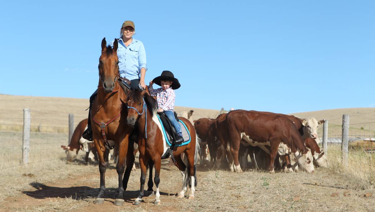 Megan McLoughlin and son Sam, on board Biscuit and Ringo, with the Herd of Hope at Stockwell. Photo: Carla Wiese-Smith