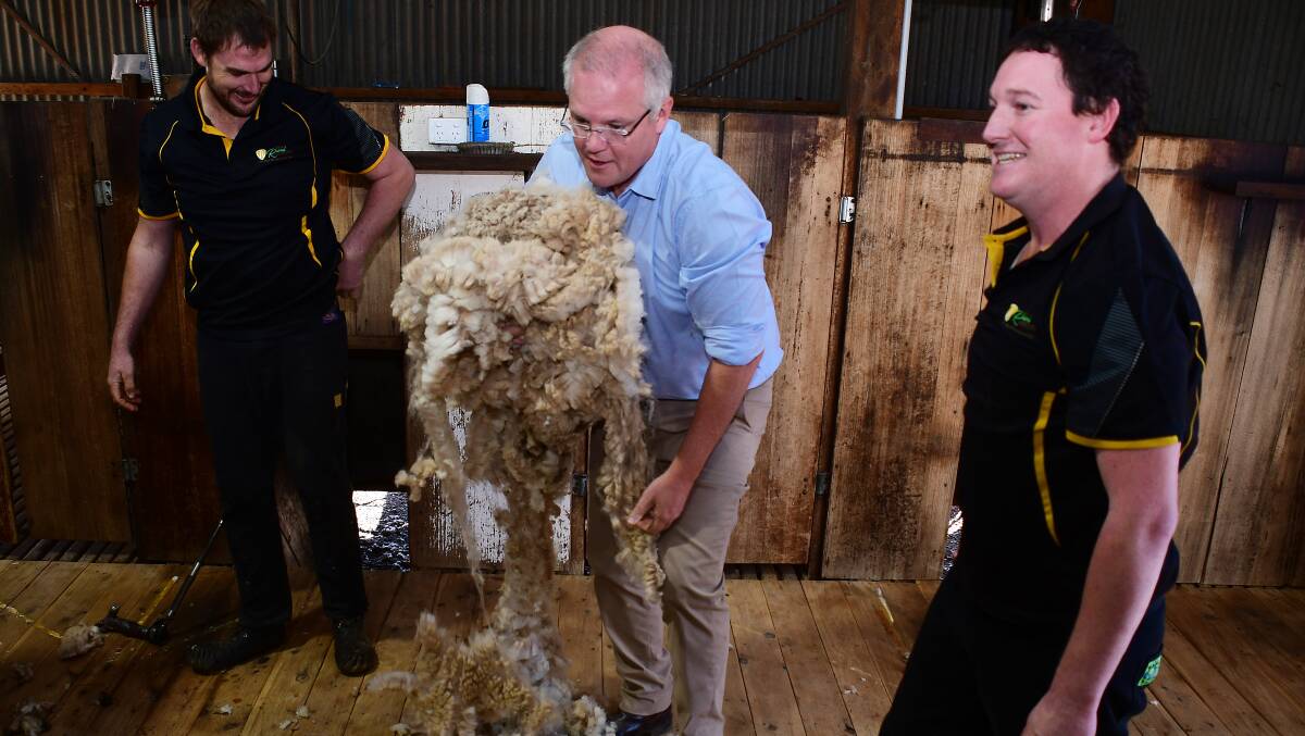 WORKING HARD: John Fittler and James Amey gave Prime Minister Scott Morrison's sheep shearing skills a tick of approval. Photo: BELINDA SOOLE